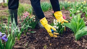 Seasonal Gardening Tips for Homeowners