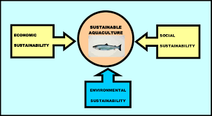 Sustainability in the Sustainable Fishing and Aquaculture