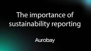 The Importance of Sustainability Reporting 