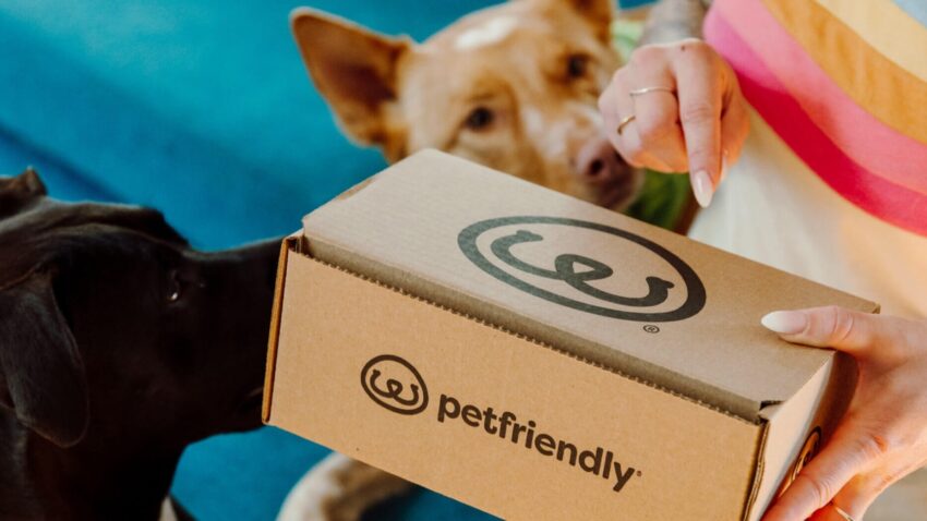 pet friendly box